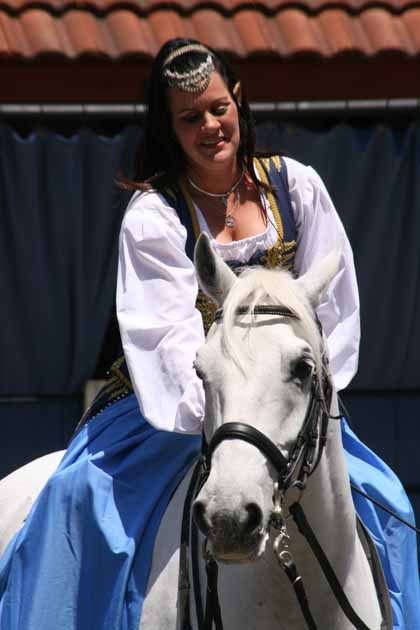 Lipizzaner and the Lady